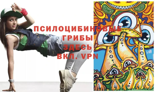 прущий лед Вяземский