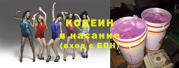 прущий лед Вяземский