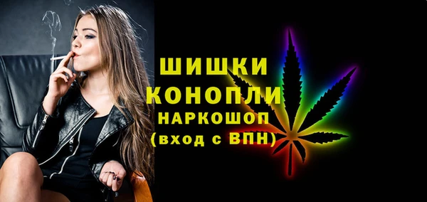 прущий лед Вяземский