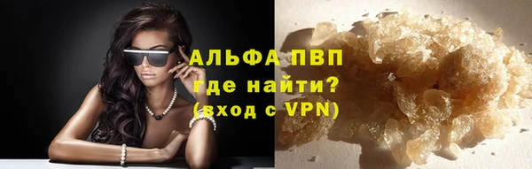 прущий лед Вяземский