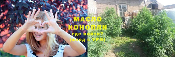 прущий лед Вяземский