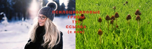 прущий лед Вяземский