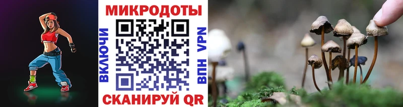 Псилоцибиновые грибы прущие грибы  Заозёрный 